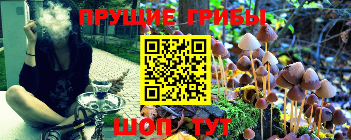 Галлюциногенные грибы ЛСД Нижний Тагил
